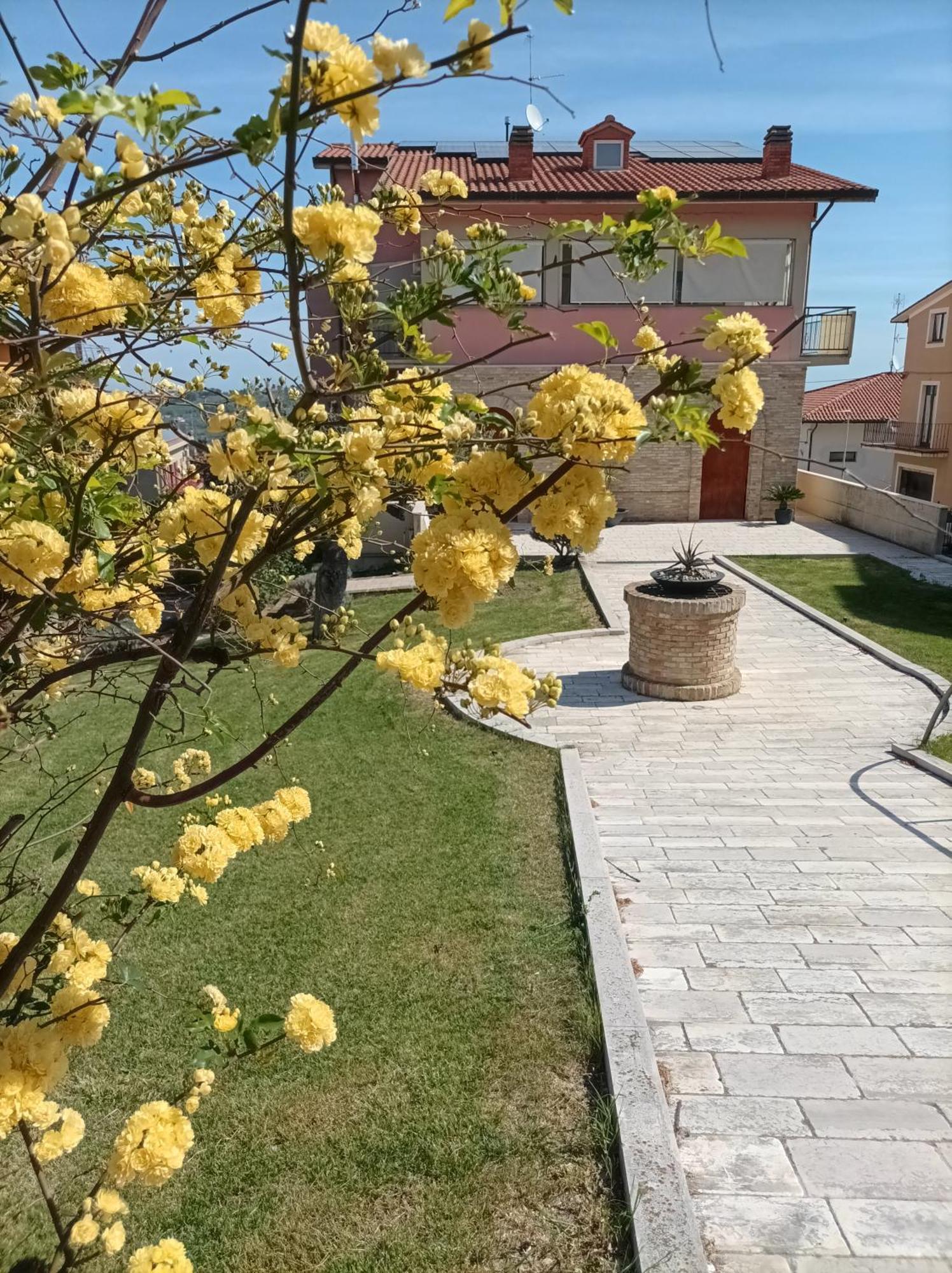 Villa Istonia Cupello Kültér fotó