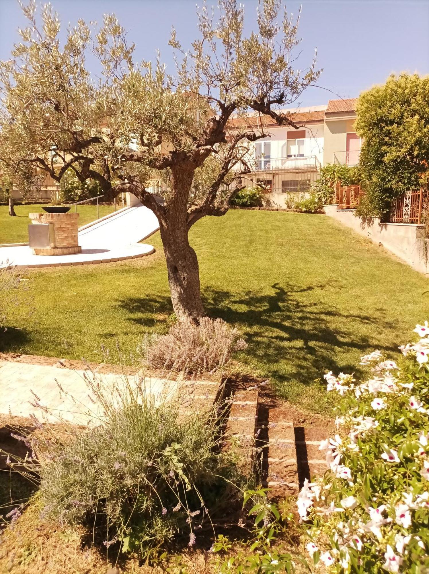 Villa Istonia Cupello Kültér fotó